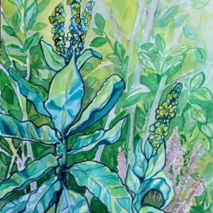 Mullein