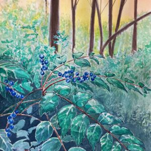 Oregon Grape